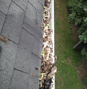 clean gutters