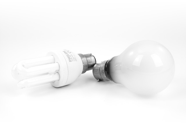 Energy Efficient Light Bulbs