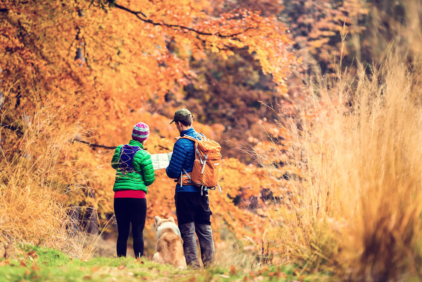 Fall Hiking in Fairfax County