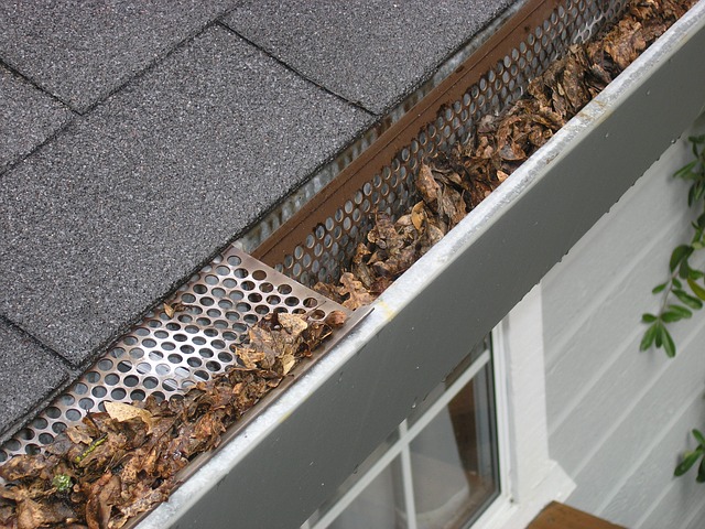 Clean  Your Gutters