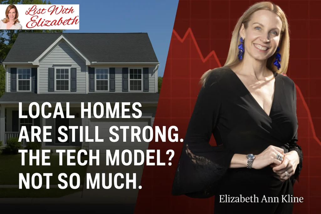 Opendoor stock drop story listwithelizabeth