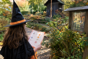 Things to Do in Vienna VA Nov 1 to 3 2026
